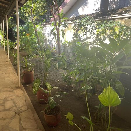 Hostal Casa Abierta León 外观 照片