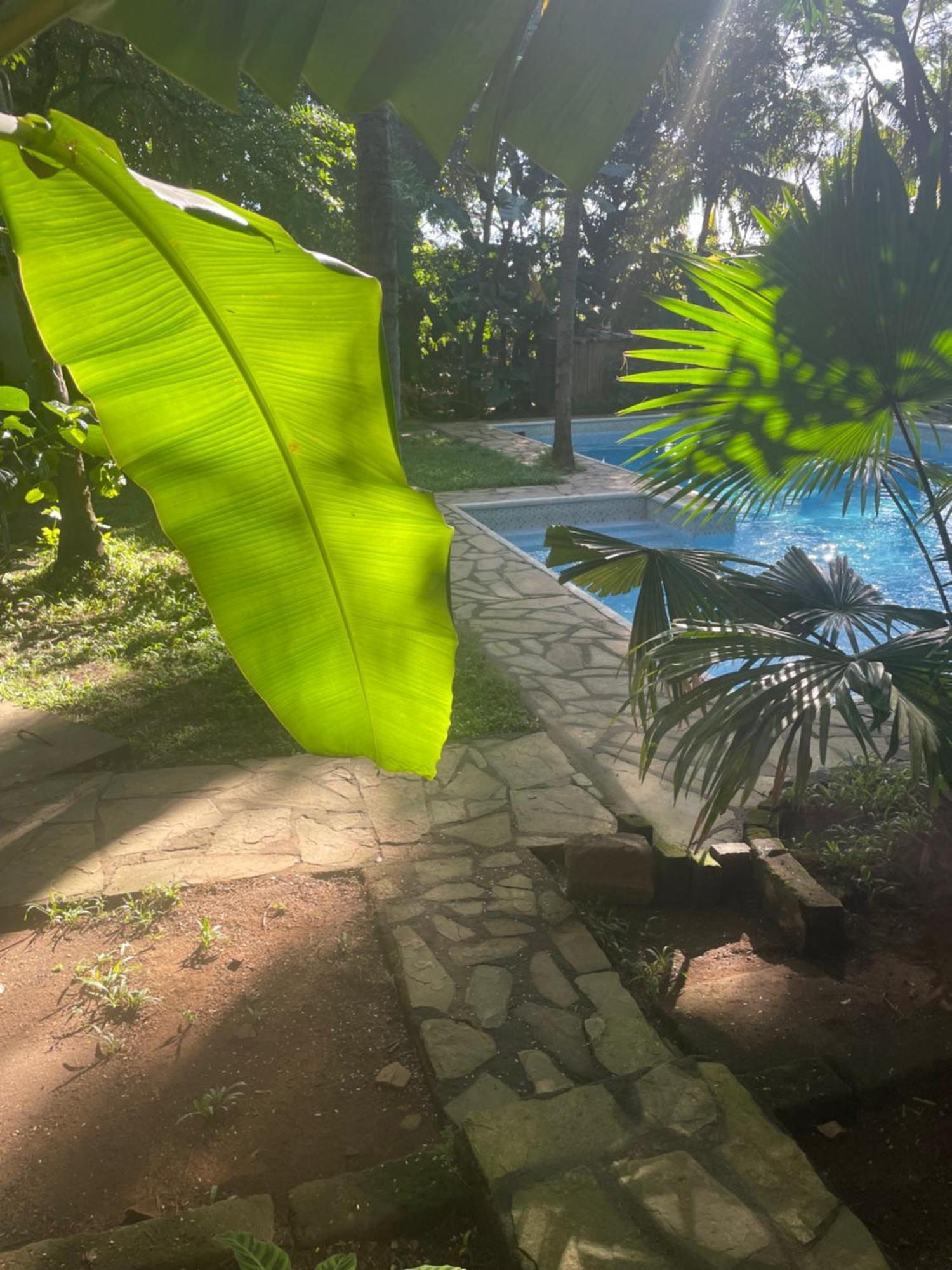 Hostal Casa Abierta León 外观 照片