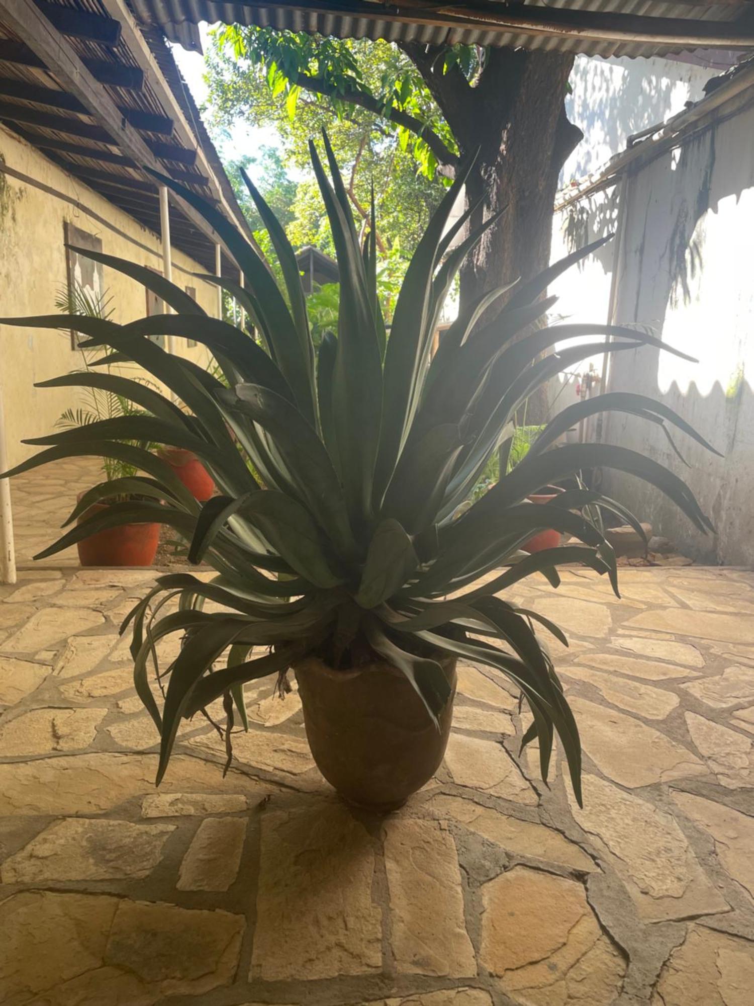 Hostal Casa Abierta León 外观 照片