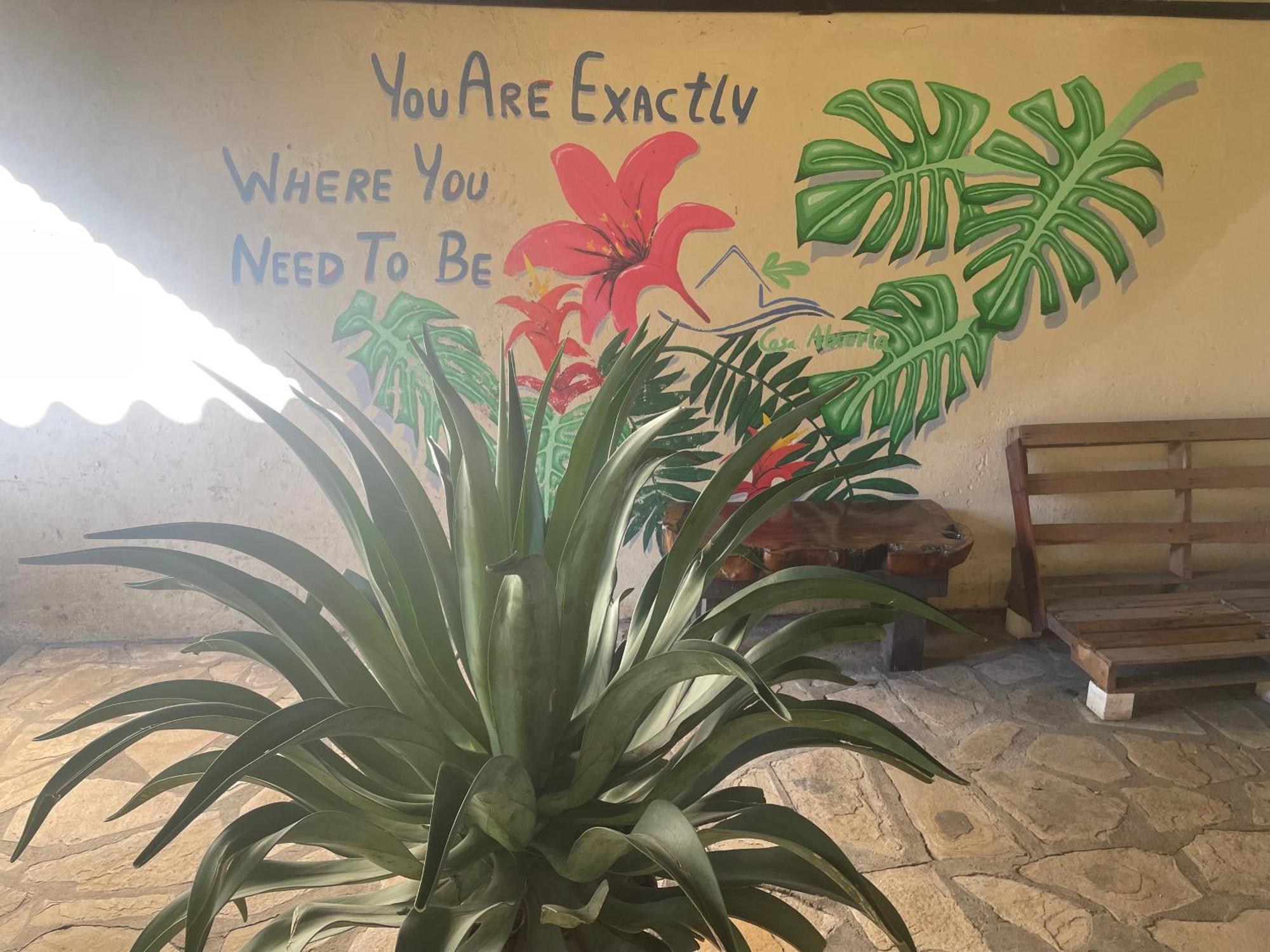 Hostal Casa Abierta León 外观 照片