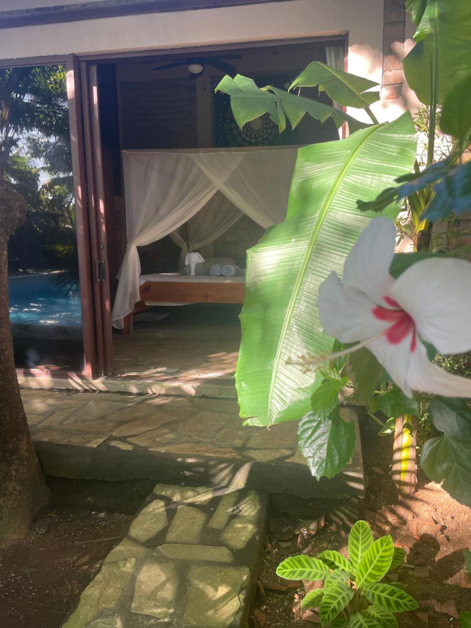 Hostal Casa Abierta León 外观 照片