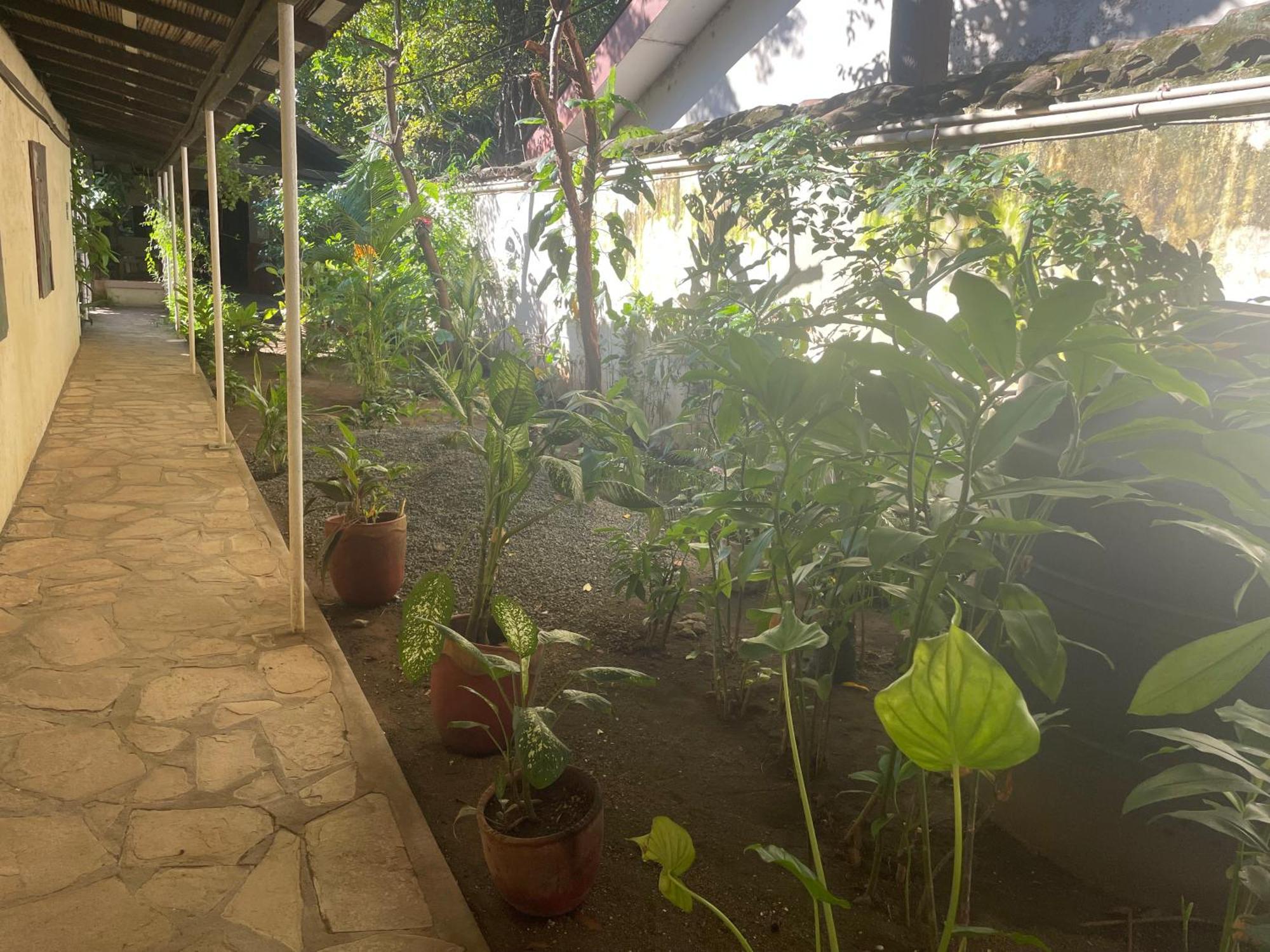 Hostal Casa Abierta León 外观 照片
